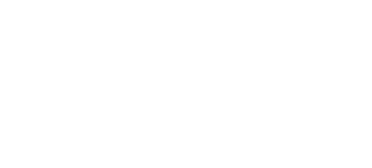 Issei Todoroki