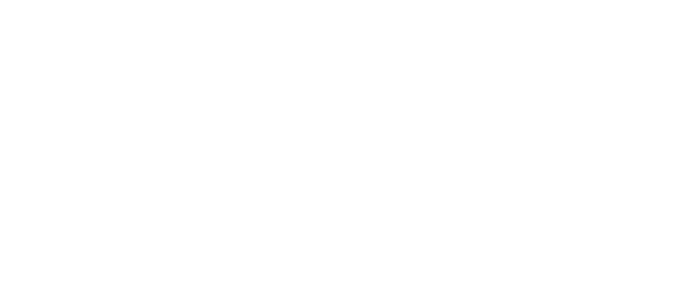 Toya Honoki