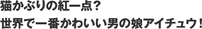 猫かぶりの紅一点？
    世界で一番かわいい男の娘アイチュウ！