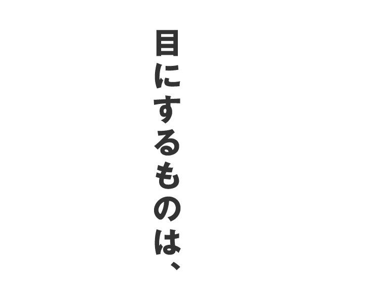 目にするものは、